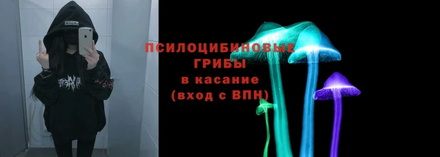мдпв Богородицк