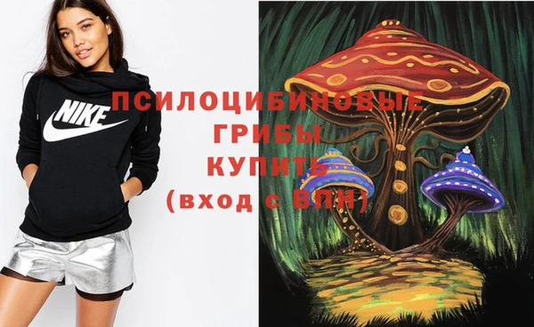 мдпв Богородицк