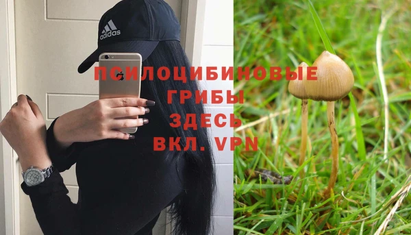 мдпв Богородицк